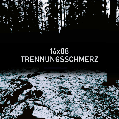 Cover image for the track Trennungsschmerz by 16x08